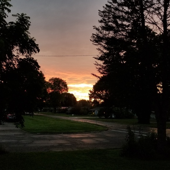 Meet your Posher, Judy - Picture 1 of 1